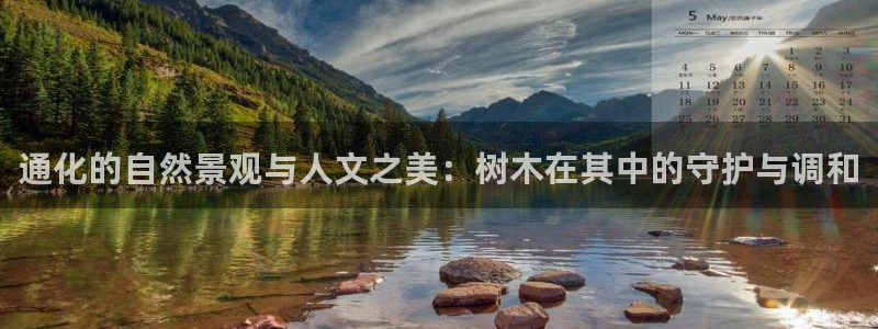 新宝GG最高返点多少