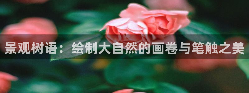 新宝gg 首页：景观树语：绘制大自然的画卷与笔触之美