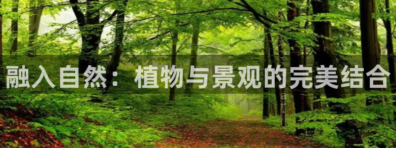 新宝gg是新宝几