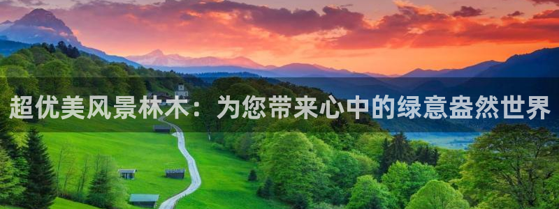 新宝gg娱乐vovq：超优美风景林木：为您带来心中的绿意盎然世界