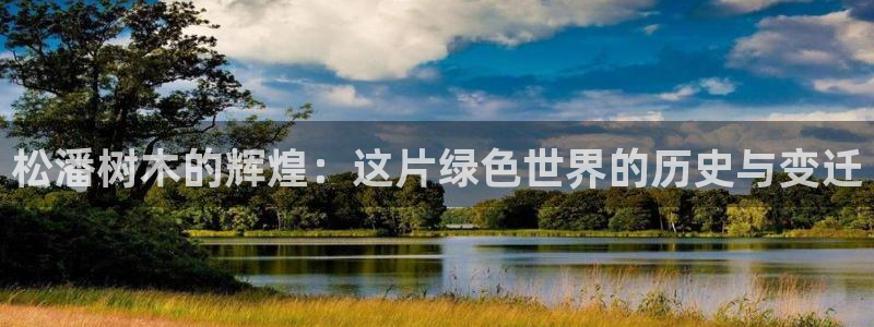 www.新宝gg：松潘树木的辉煌：这片绿色世界的历史与变迁