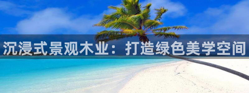 新宝gg 开户