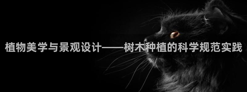 新宝gg娱乐平台