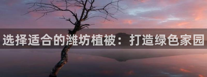 新宝gg手机注册官网