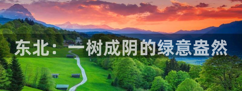 新宝gg和新宝123