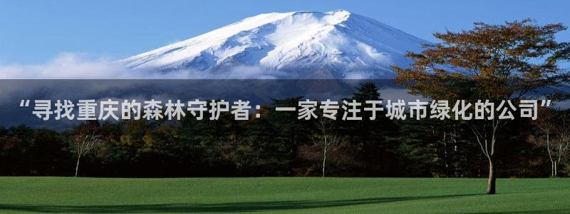 新宝gg娱乐主管q42873