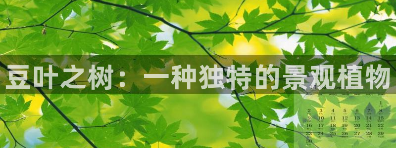 创造奇迹 新宝gg