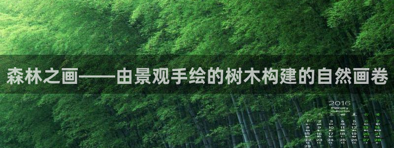 新宝gg注册jhjinde：森林之画——由景观手绘的树木构建的自然画卷