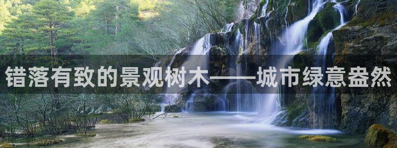 新宝gg娱乐平台