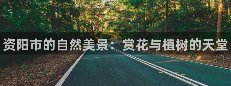 新宝gg娱乐上皇巢网