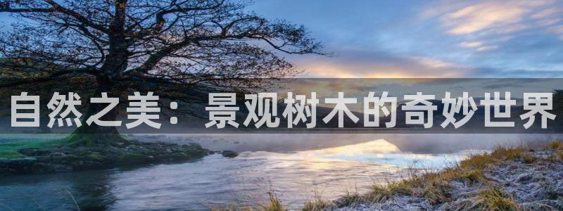 新宝gg注册jhjinde：自然之美：景观树木的奇妙世界