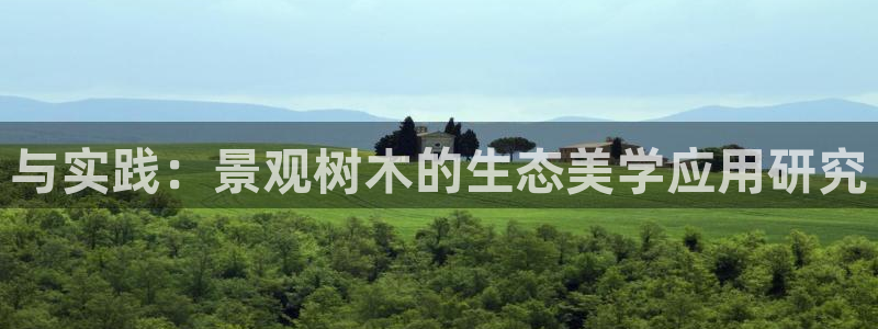 新宝Gg测速地址