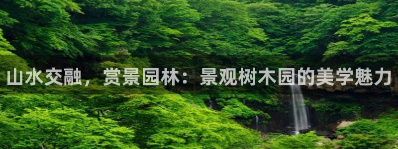 娱乐世界新宝gg