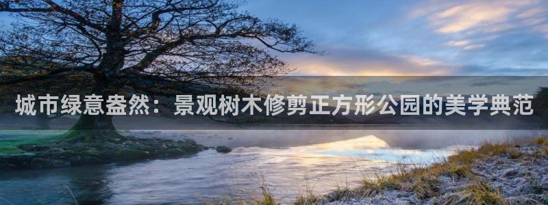 新宝gg和新宝123