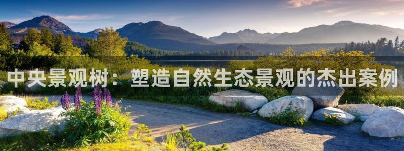 新宝gg官方下载