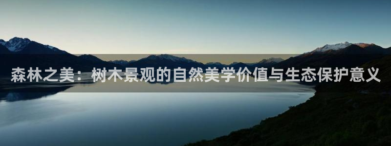 新宝gg测试：森林之美：树木景观的自然美学价值与生态保护意义