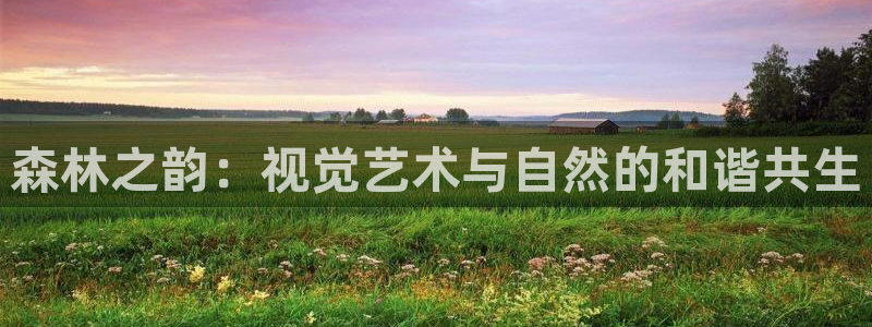 新宝gg创造奇迹平台