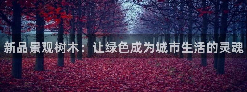 创造奇迹 新宝gg