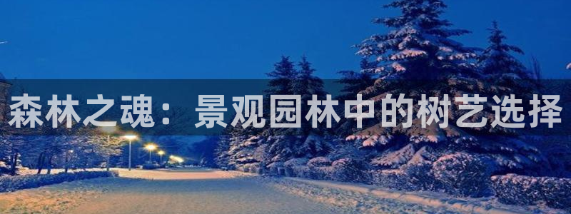 新宝gg首页平台