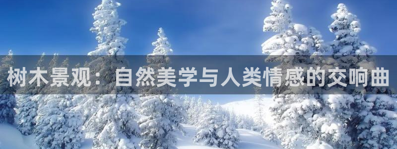 新宝gg—创造：树木景观：自然美学与人类情感的交响曲