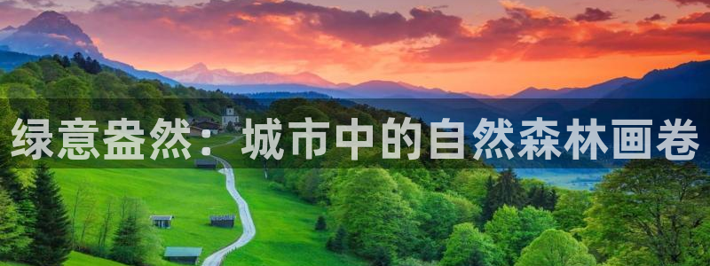 新宝gg怎么开户