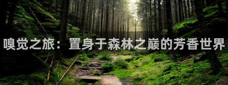 新宝gg平台开户