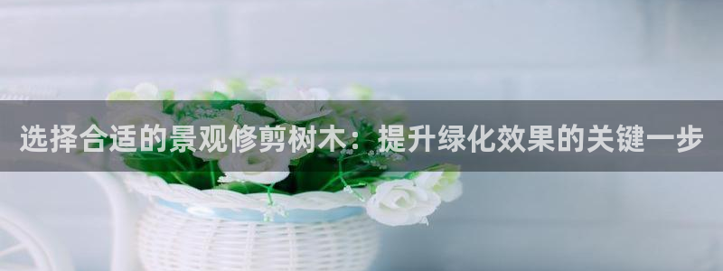 新宝gg-创业奇迹