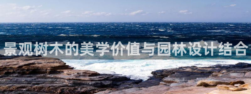 新宝gg 登录页面