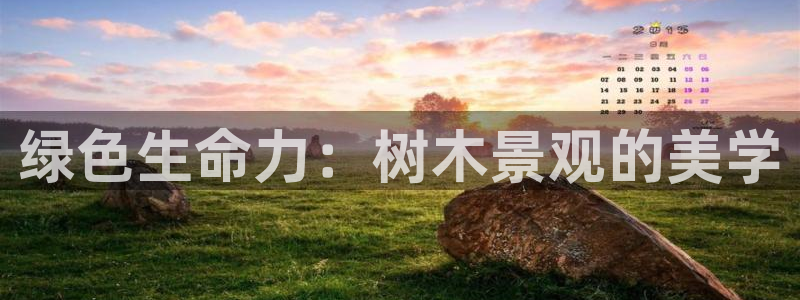 新gg官网_新宝GG创造奇迹