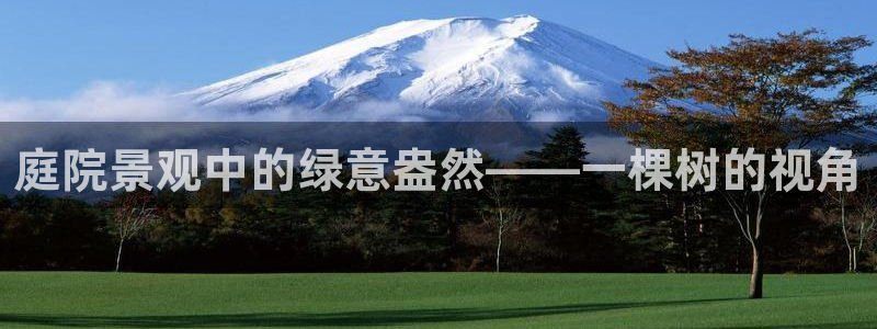 新宝gg官方下载：庭院景观中的绿意盎然——一棵树的视角
