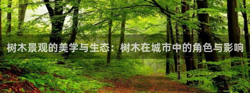 新宝gg 开户