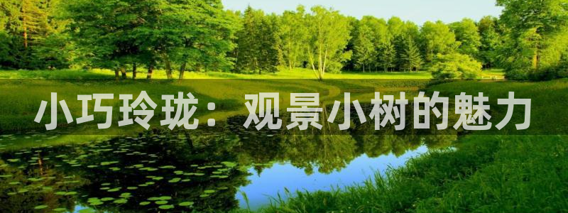 新宝gg测速：小巧玲珑：观景小树的魅力