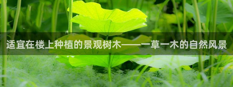 下载新宝gg怎么下载
