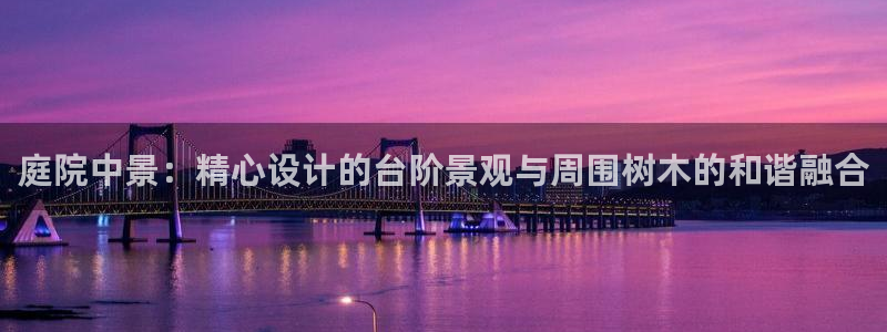 网站是新宝gg