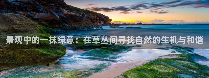 新宝 gg创造：景观中的一抹绿意：在草丛间寻找自然的生机与和谐