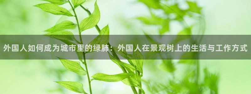 新宝集团gg
