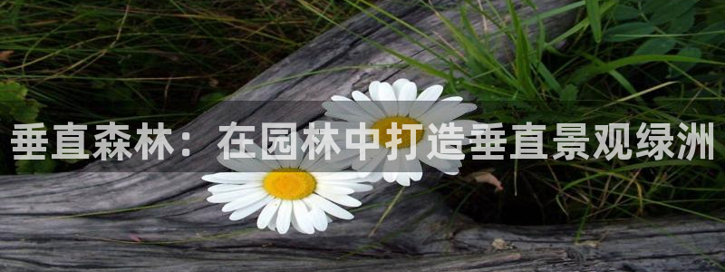 新宝gg集团：垂直森林：在园林中打造垂直景观绿洲