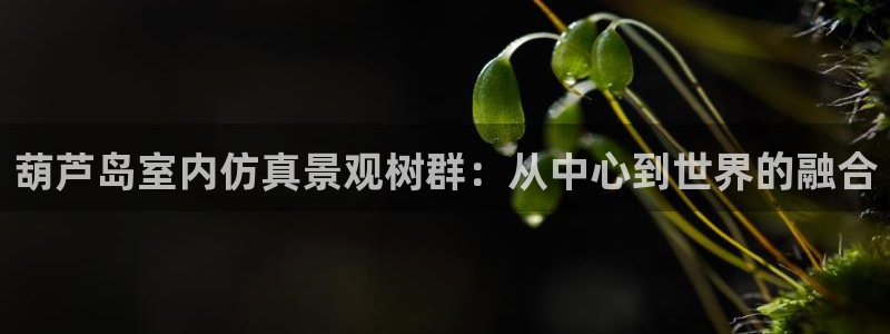 新宝GG娱乐下载：葫芦岛室内仿真景观树群：从中心到世界的融合