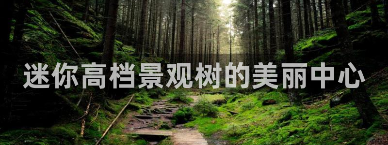 新宝gg怎么样