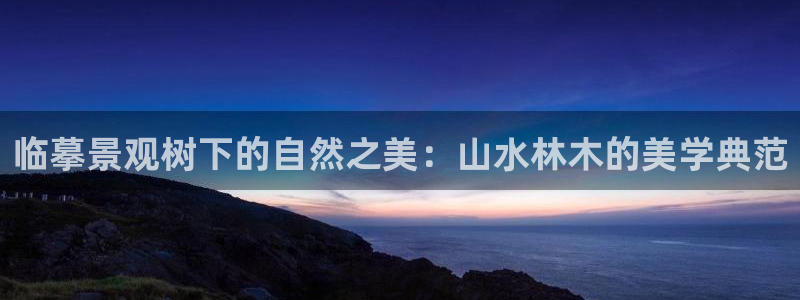 新宝平台gg