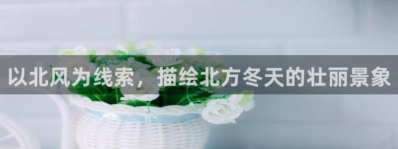 新宝gg公司