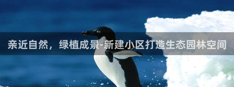 新宝gg总部
