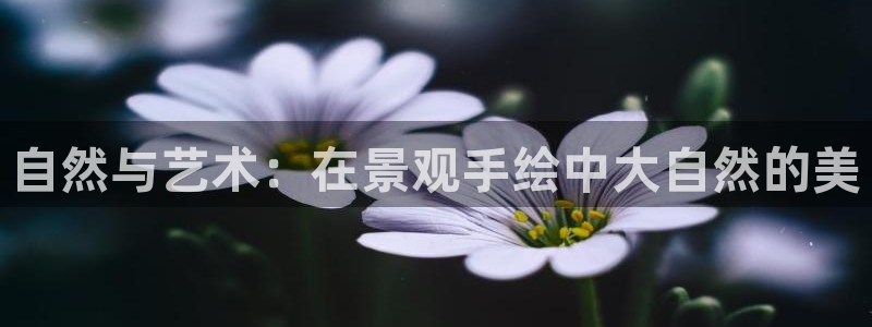 新gg官网_新宝GG创造奇迹