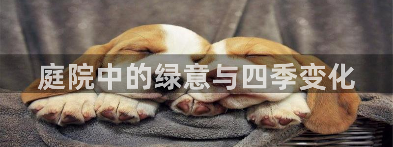 新宝gg怎么做代理
