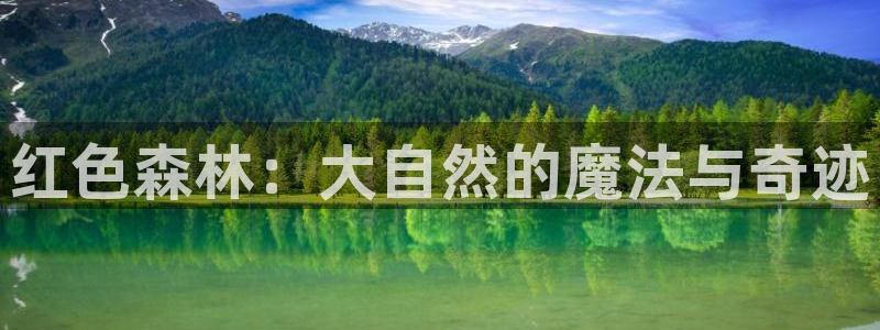 新宝gg工资