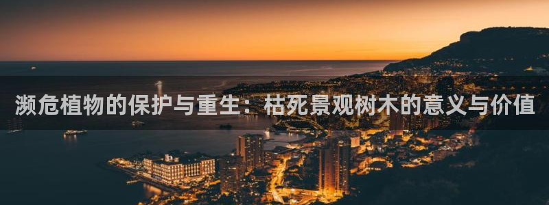 新宝gg手机注册官网