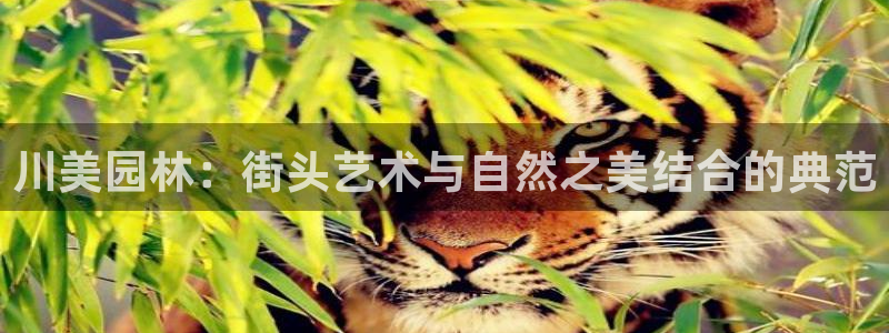 新宝gg试玩