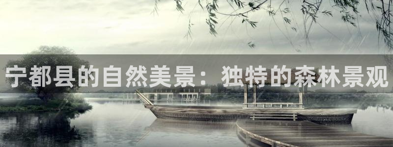 新宝gg平台开户