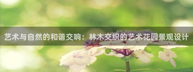 新宝GG都有哪些计划