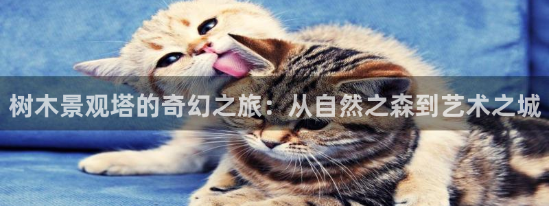 网站新宝GG